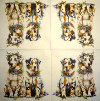 914 Dogs - 3-ply - Specials